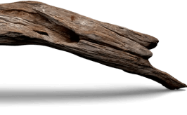 Holistic Recovery Australia