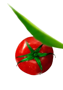 Holistic Recovery Australia